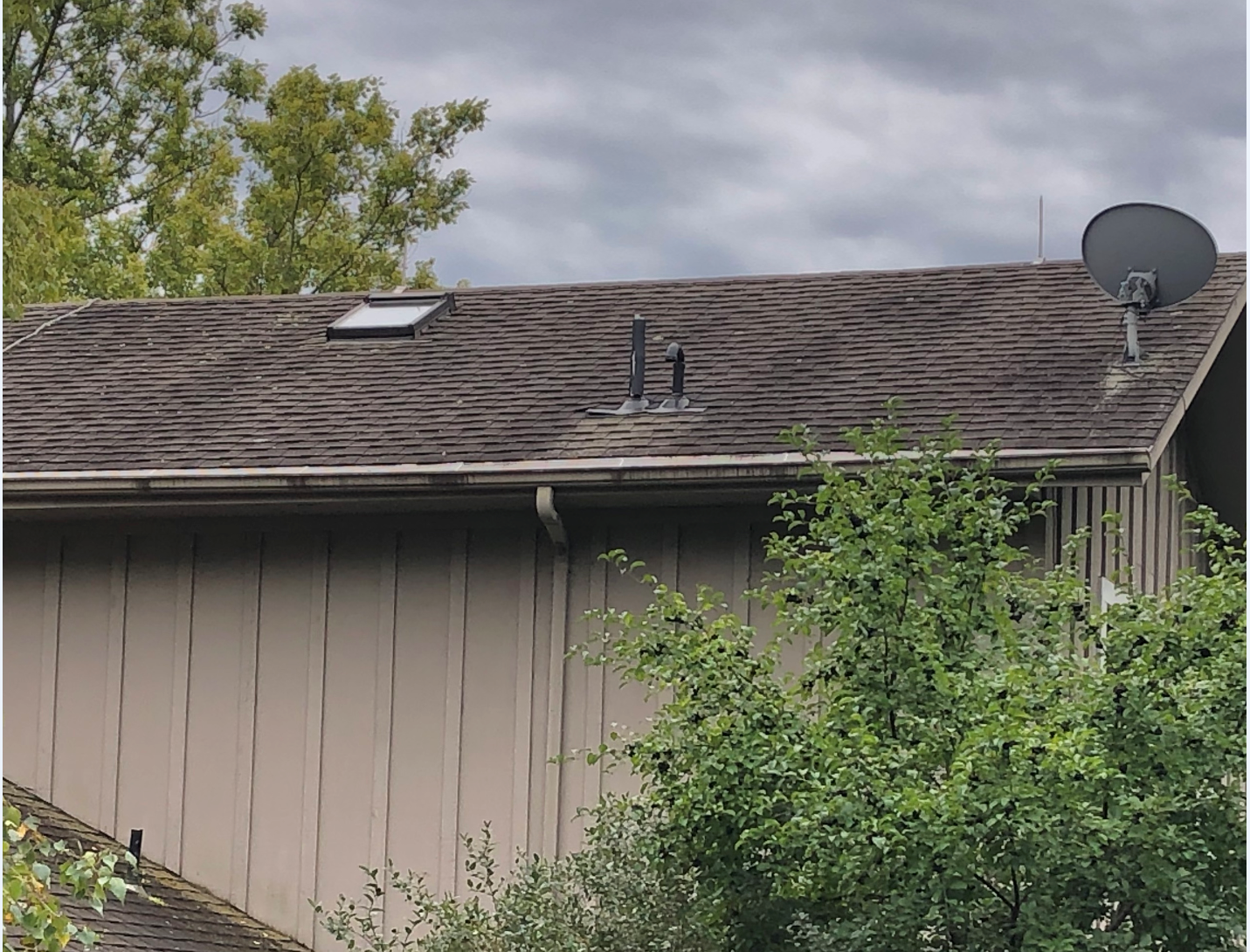 Dirty roof needing cleaning and residential roof washing services.