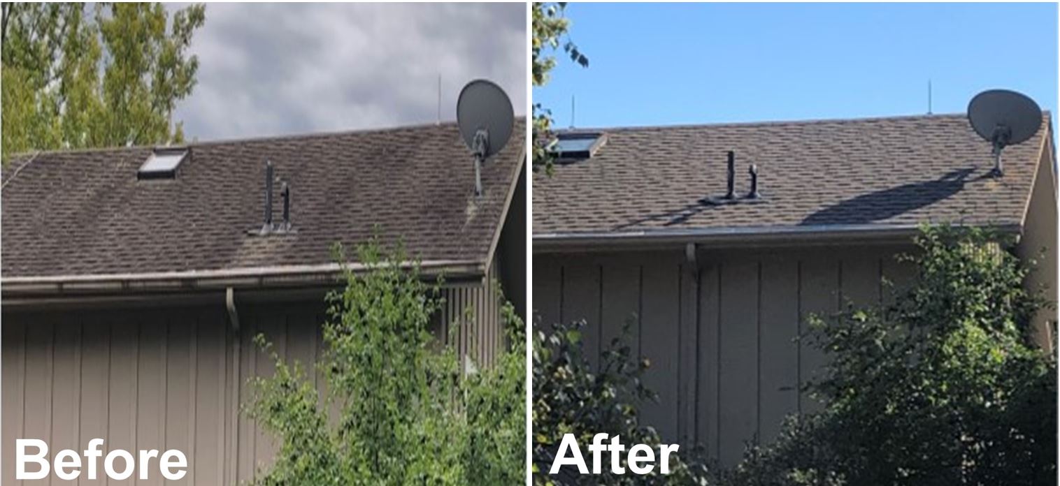 Muskego Roof Washing Company Roof Cleaning Services Near Me