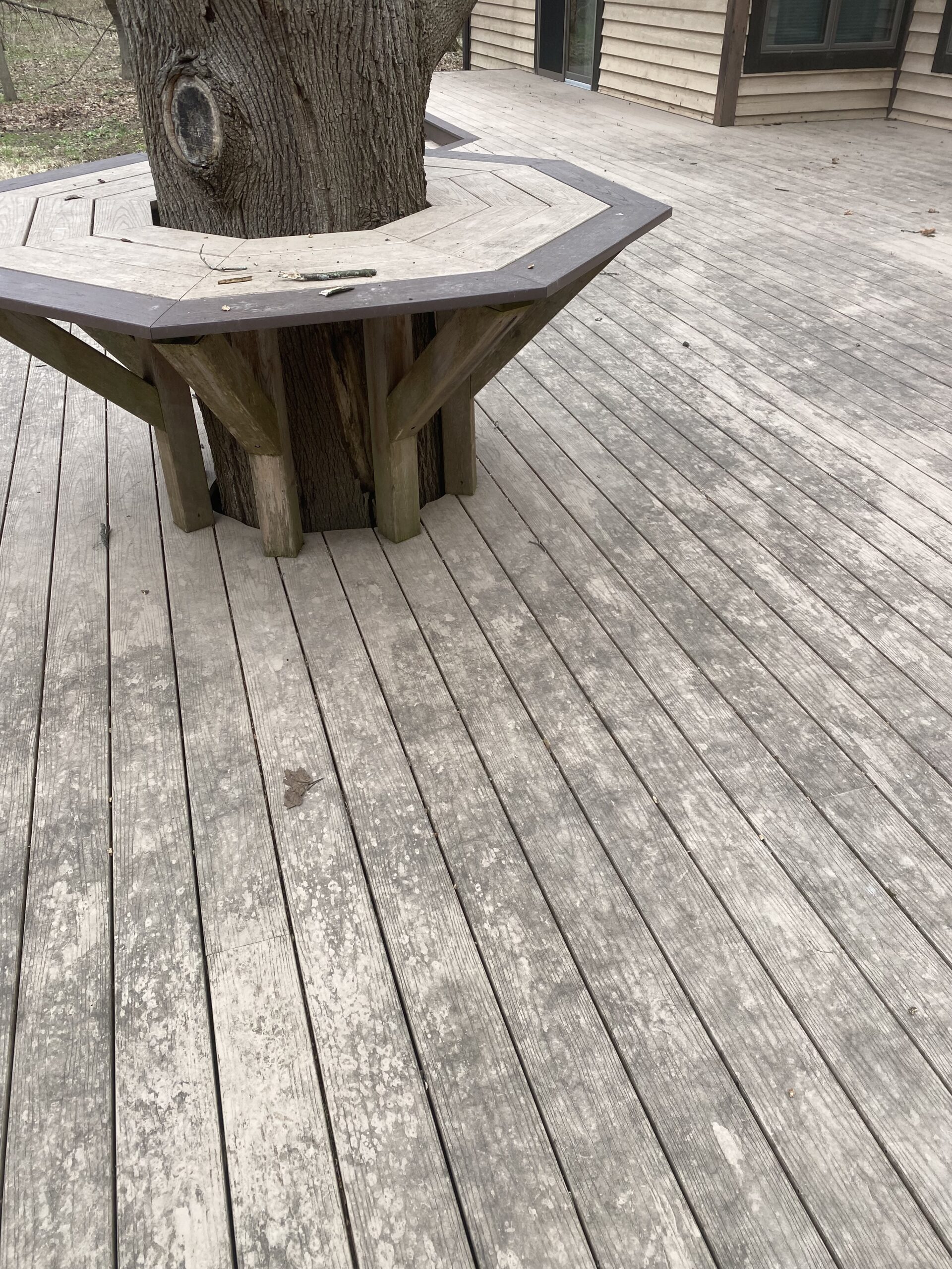 Dirty deck and tree showcasing before window cleaning services