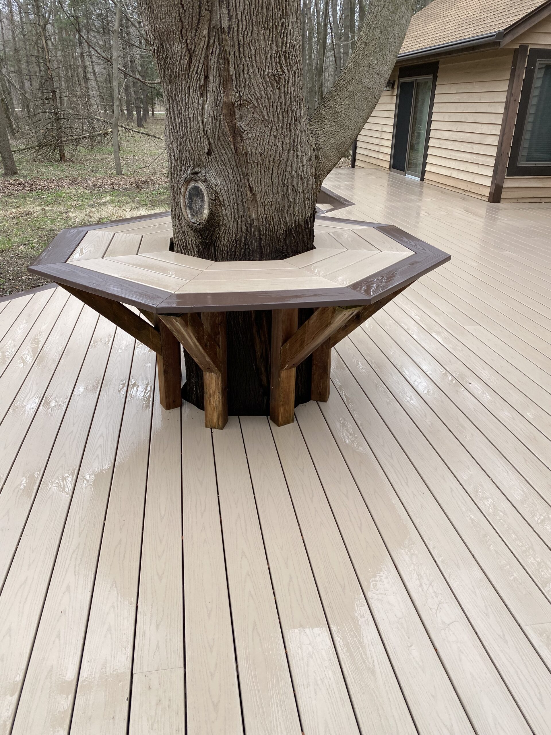 Deck with tree growing through built-in seating area showcasing Blueline Cleaning Services work