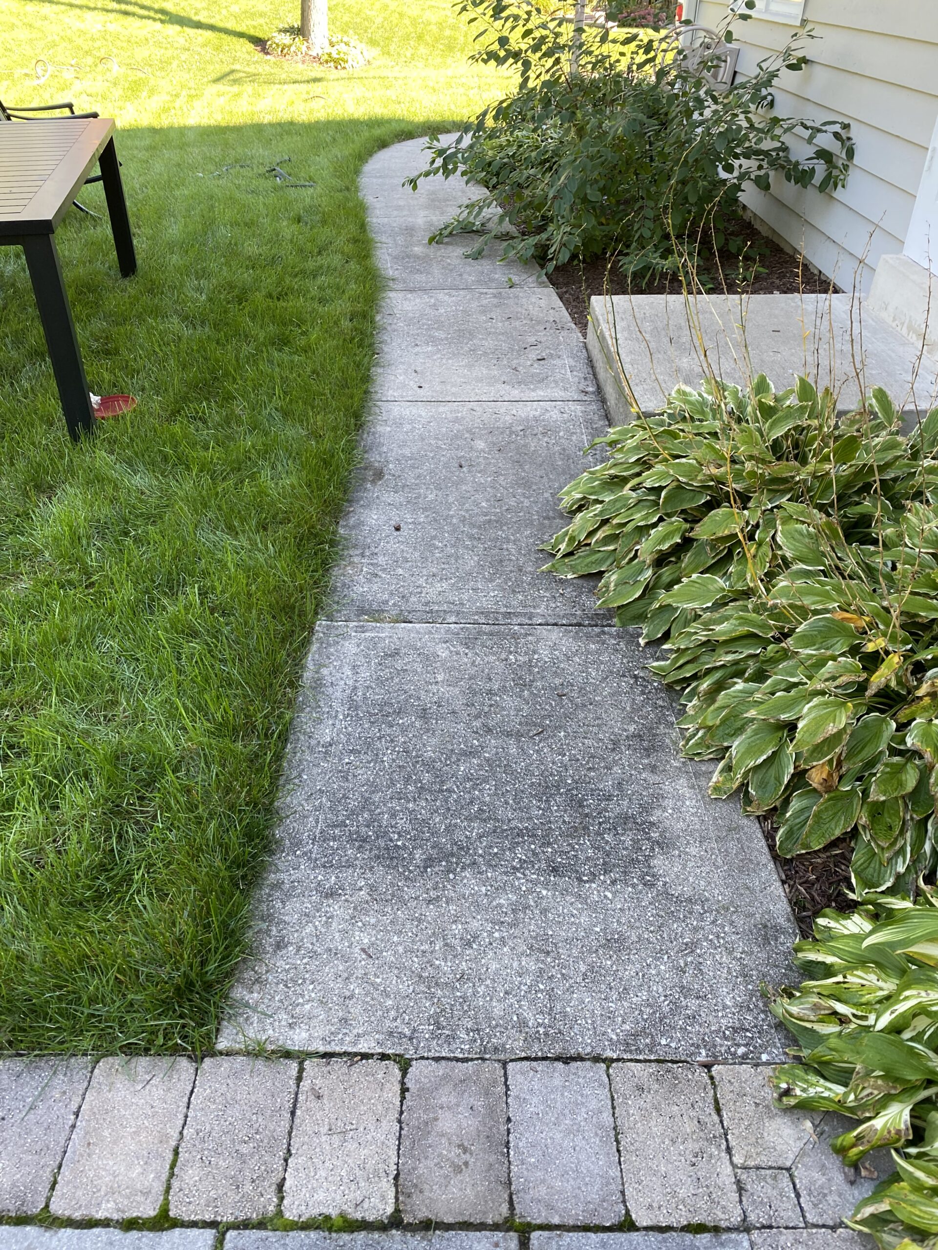 Before window cleaning: dirty concrete walkway and patio in residential yard.