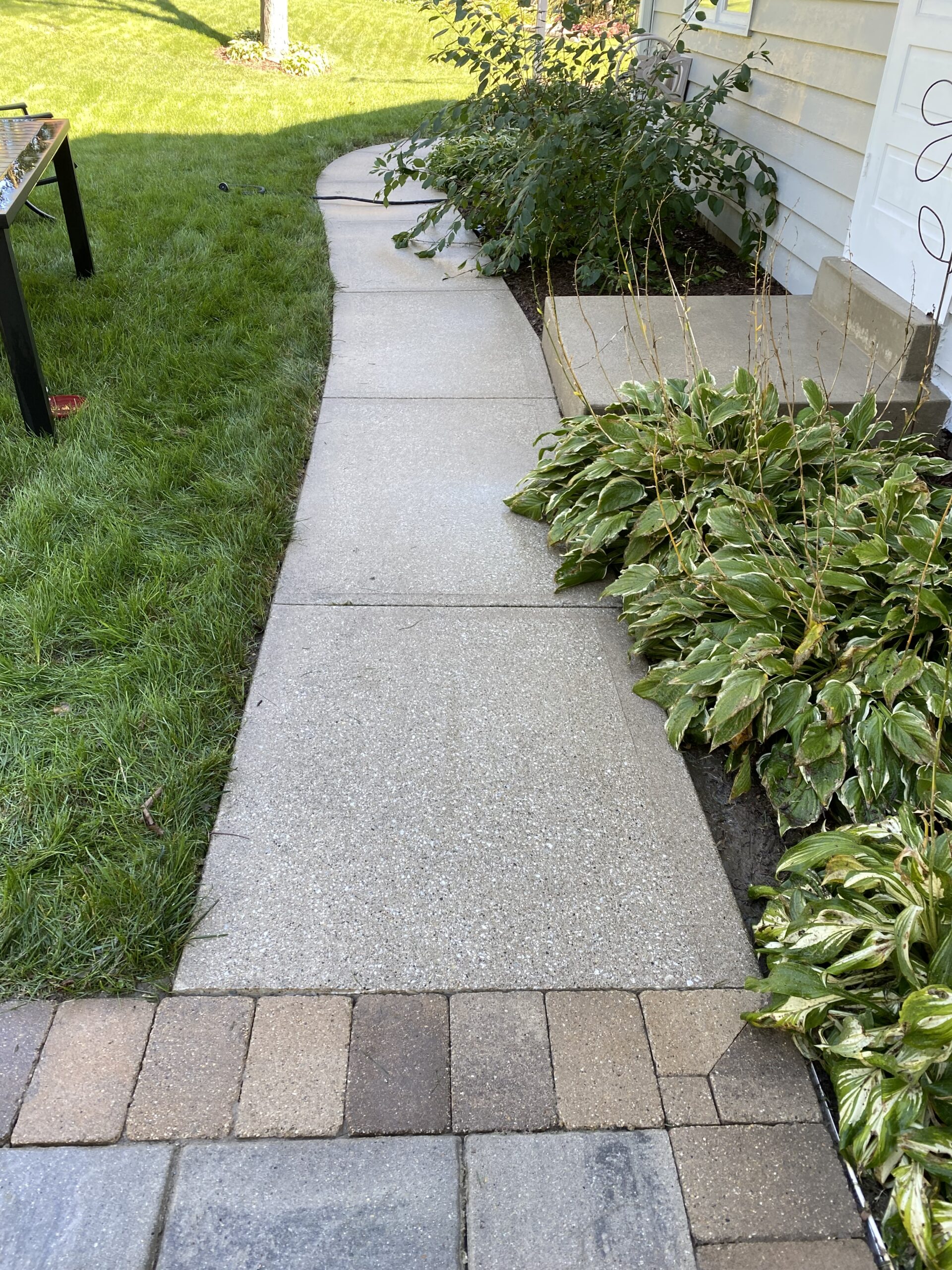 Before window cleaning: walkway and landscaping at residential property.