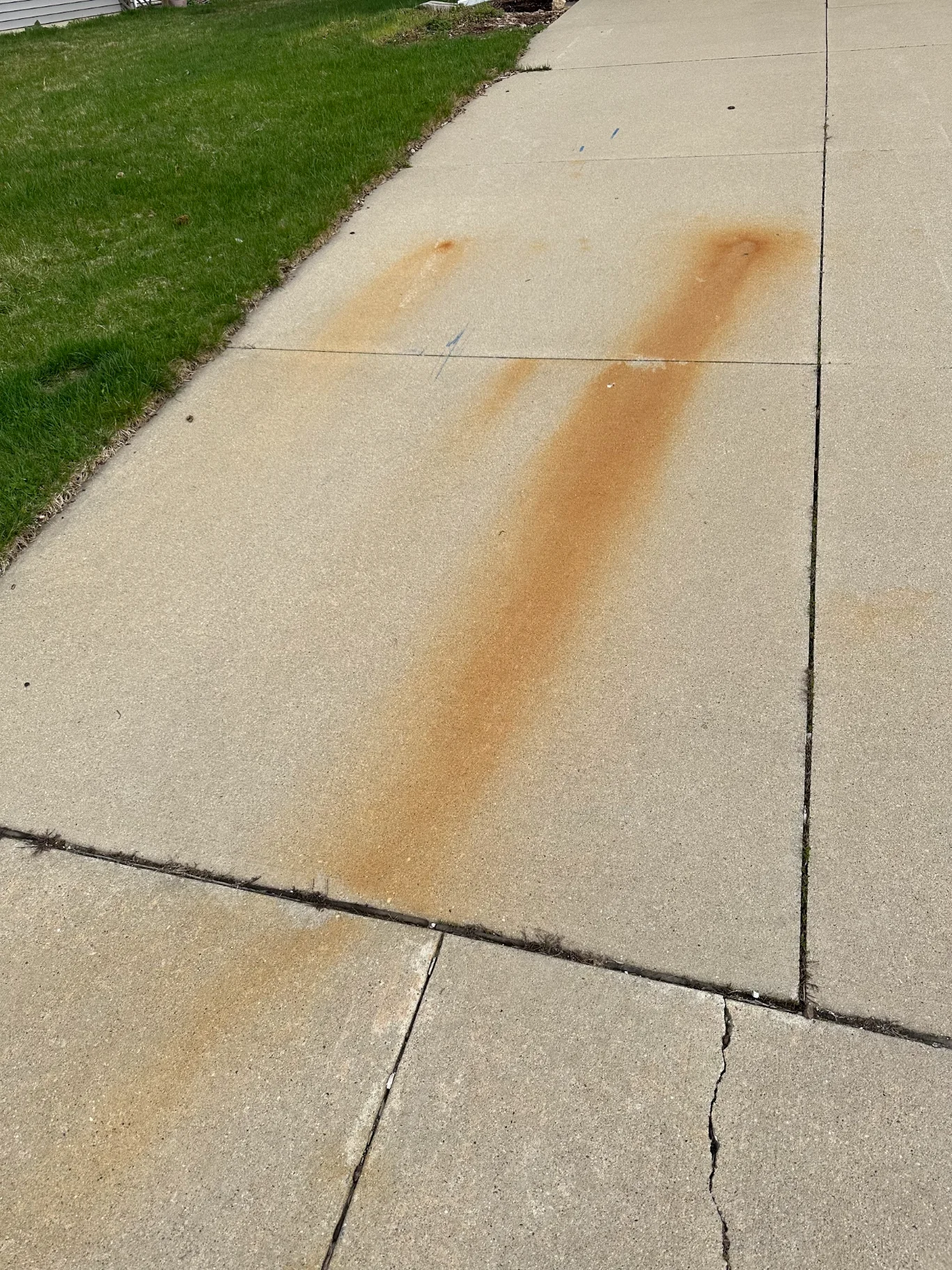 Stained concrete walkway before window cleaning by Blueline Cleaning Services